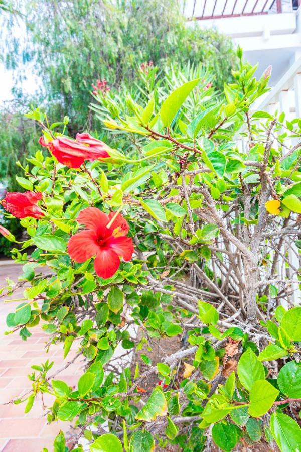 Vivienda Vacacional Serendipity Costa Teguise Eksteriør billede